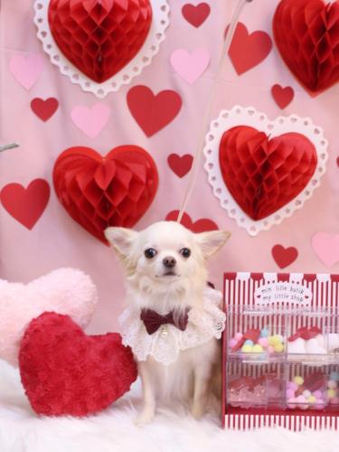 20240207うくちゃん